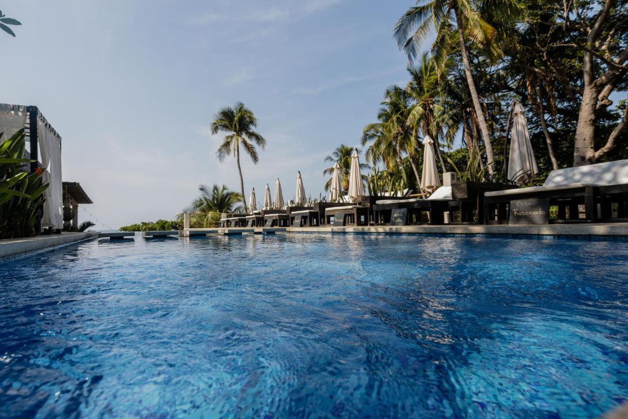 Palo Verde Sustainable Hotel エル・ゾンテ エクステリア 写真