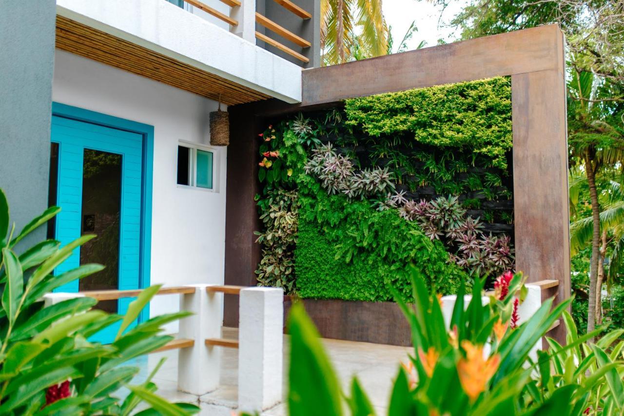 Palo Verde Sustainable Hotel エル・ゾンテ エクステリア 写真